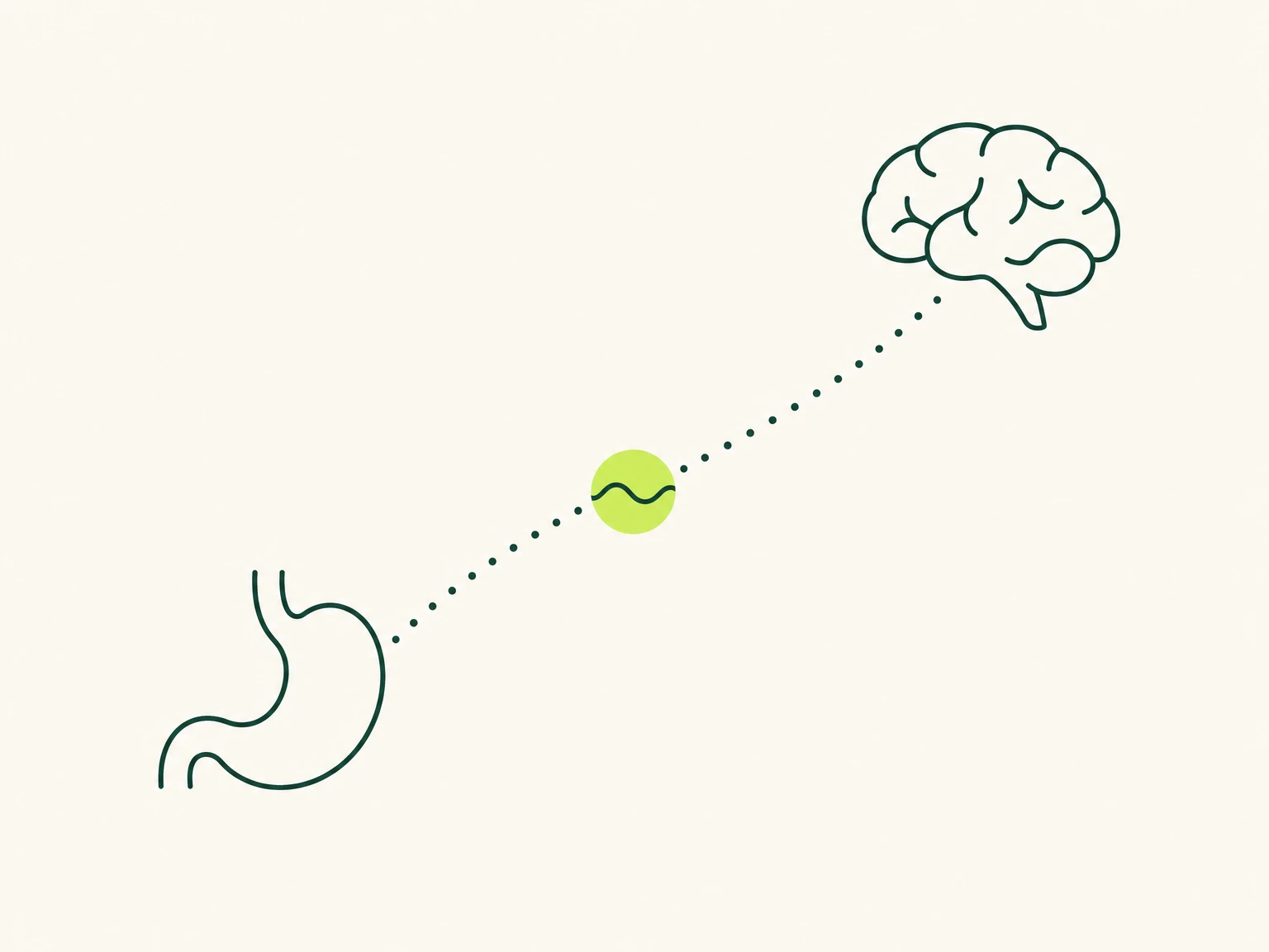 Semaglutide appetite signal travelling from the stomach to the brain